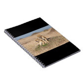 Carnet Jeunes lions (Côté Droit)