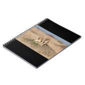 Carnet Jeunes lions (Côté gauche)