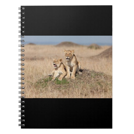 Carnet Jeunes lions (Devant)