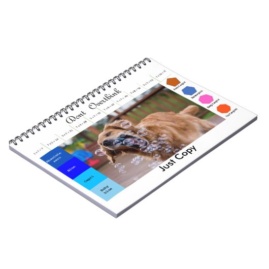 Carnet Jeux éducatifs drôles de chien (Côté gauche)