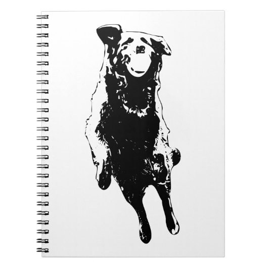 Carnet Joie en plein saut (Devant)