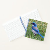 Carnet Joli Blue Scrub Jay Bird Photo (Intérieur)