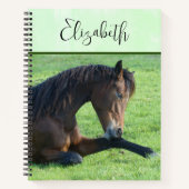 Carnet Joli Cheval Brown allongé dans l'herbe (Devant)