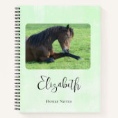 Carnet Joli Cheval Brown allongé dans l'herbe (Devant)