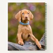 Carnet Joli chiot hongrois Vizsla Chien Chien Puppy Photo (Dos)