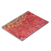 Carnet Joli Coral rose Gerbera Daisy (Côté gauche)