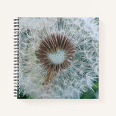 Carnet Joli Dandelion blanc (Devant)