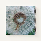 Carnet Joli Dandelion blanc (Dos)