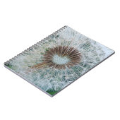 Carnet Joli Dandelion blanc (Côté gauche)