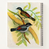 Carnet joli imprimé d'oiseaux (Dos)