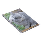 Carnet Joli lapin gris (Côté Droit)