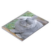 Carnet Joli lapin gris (Côté gauche)
