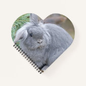 Carnet Joli lapin gris (Devant)