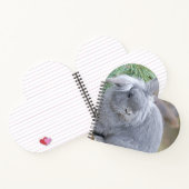 Carnet Joli lapin gris (Intérieur)