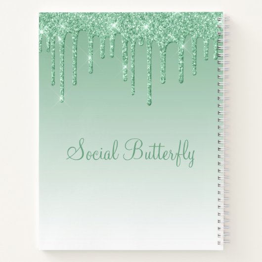 Carnet Joli Parties scintillant Mint Green Script Papillo (Dos)