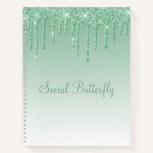 Carnet Joli Parties scintillant Mint Green Script Papillo (Devant)