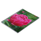 Carnet Joli Peony Jardin Rose (Côté gauche)