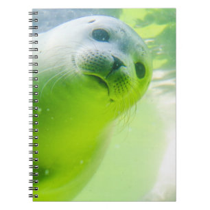 Carnet Joli Phoque Amical Sous L'Eau