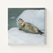 Carnet Joli phoque du port sur neige (Dos)