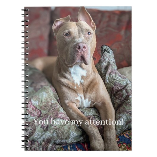 Carnet Joli Pit Bull (Devant)