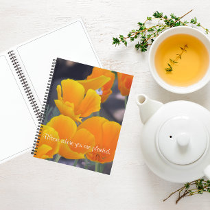 Carnet Joli Poppies de Californie avec Croquis