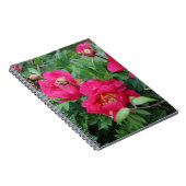 Carnet Joli Pretty Peonies Roses (Côté Droit)