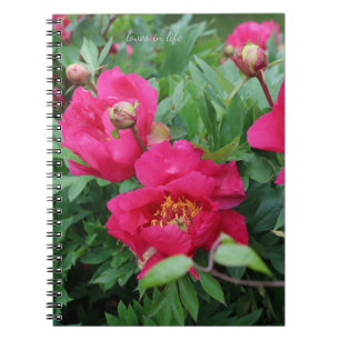 Carnet Joli Pretty Peonies Roses
