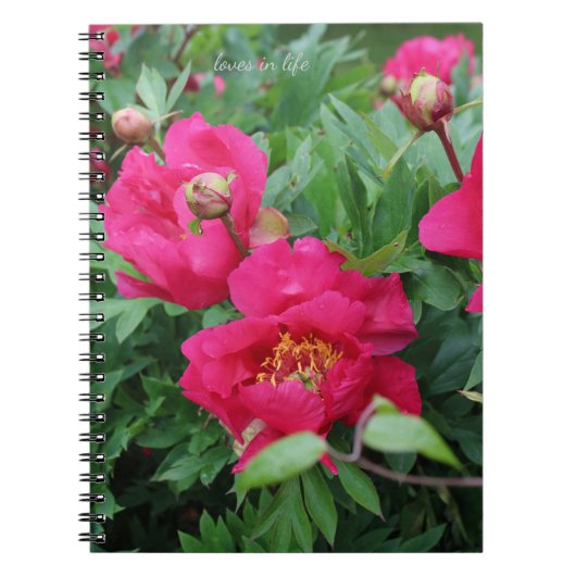 Carnet Joli Pretty Peonies Roses (Devant)
