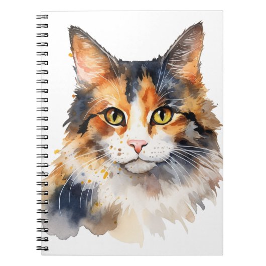 CARNET JOLIE CALICO CALICO COULEUR D'EAU (Devant)