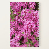 Carnet Jolie Daphné Florale Rose (Verso)