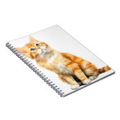 CARNET JOLIE EAU COULEUR ORANGE TABBY CAT (Côté Droit)