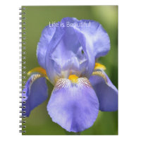 Jolie fleur d'iris pourpre (ma photographie)