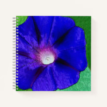 Jolie Florale