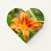 Carnet Jolie grande fleur Lily photo (Dos)