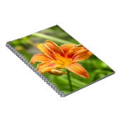 Carnet Jolie grande fleur Lily photo (Côté Droit)