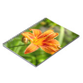 Carnet Jolie grande fleur Lily photo (Côté gauche)