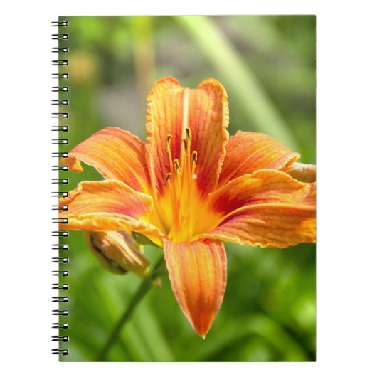 Carnet Jolie grande fleur Lily photo (Devant)