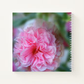 Carnet Jolie Hollyhock Fleurs Roses Avec Citation (Dos)