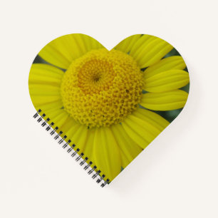 Carnet Jolie marguérite jaune