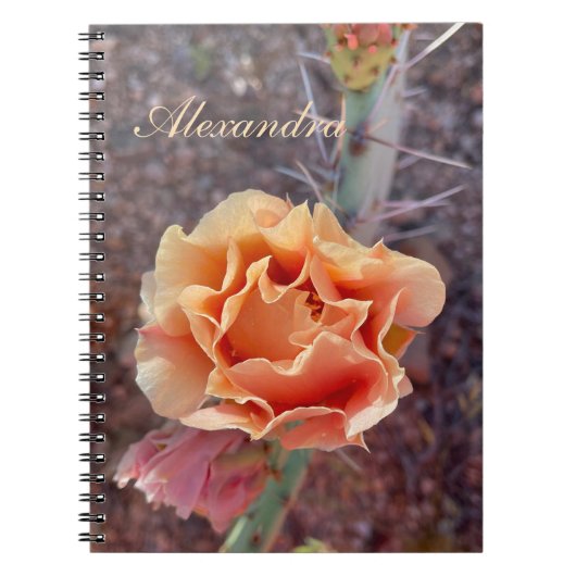 Carnet Jolie Pêche Prickly Pear Flower (Devant)