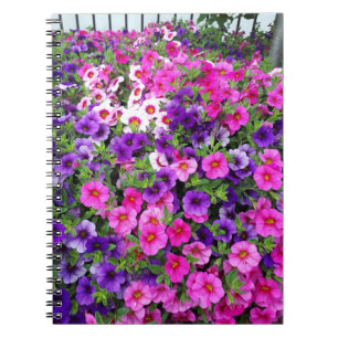 Carnet Jolie Petunias