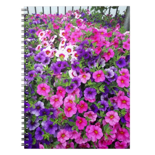 Carnet Jolie Petunias (Devant)