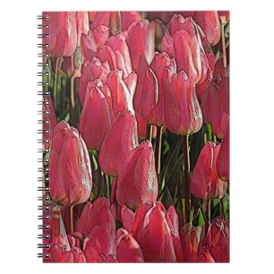 Carnet Jolie tulipe rose