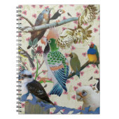 Carnet Jolies birdies (Devant)