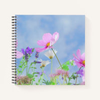 Jolies fleurs sauvages de printemps