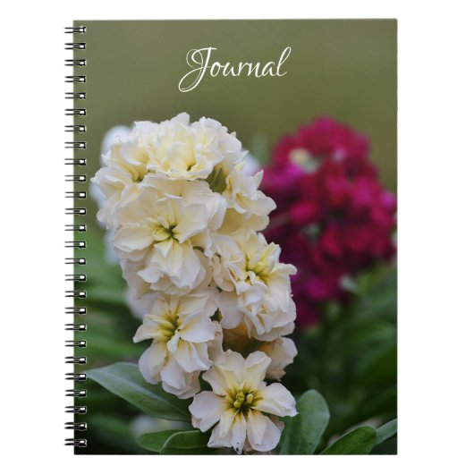 Carnet Jolies fleurs Stocks de Gertie's Garden (Devant)