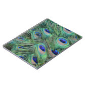 Carnet Jolies plumes de paon (Côté gauche)