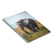 CARNET JOLIMENT ÉLÉPHANT (Côté Droit)