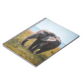 CARNET JOLIMENT ÉLÉPHANT (Côté gauche)