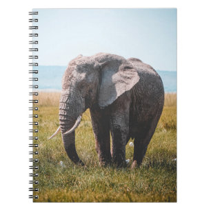 CARNET JOLIMENT ÉLÉPHANT